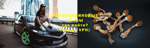 метадон Сафоново