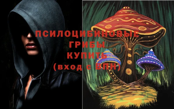 меф Саяногорск