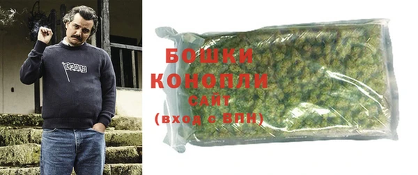 метадон Сафоново