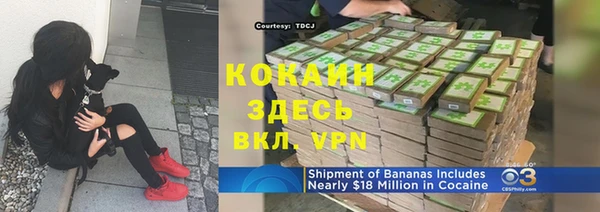 метадон Сафоново